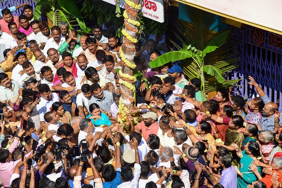 ದಾವಣಗೆರೆ | ದುರ್ಗಾಂಬಿಕಾ ದೇಗುಲದಲ್ಲಿ ಹಂದರಗಂಬ ಪೂಜೆ