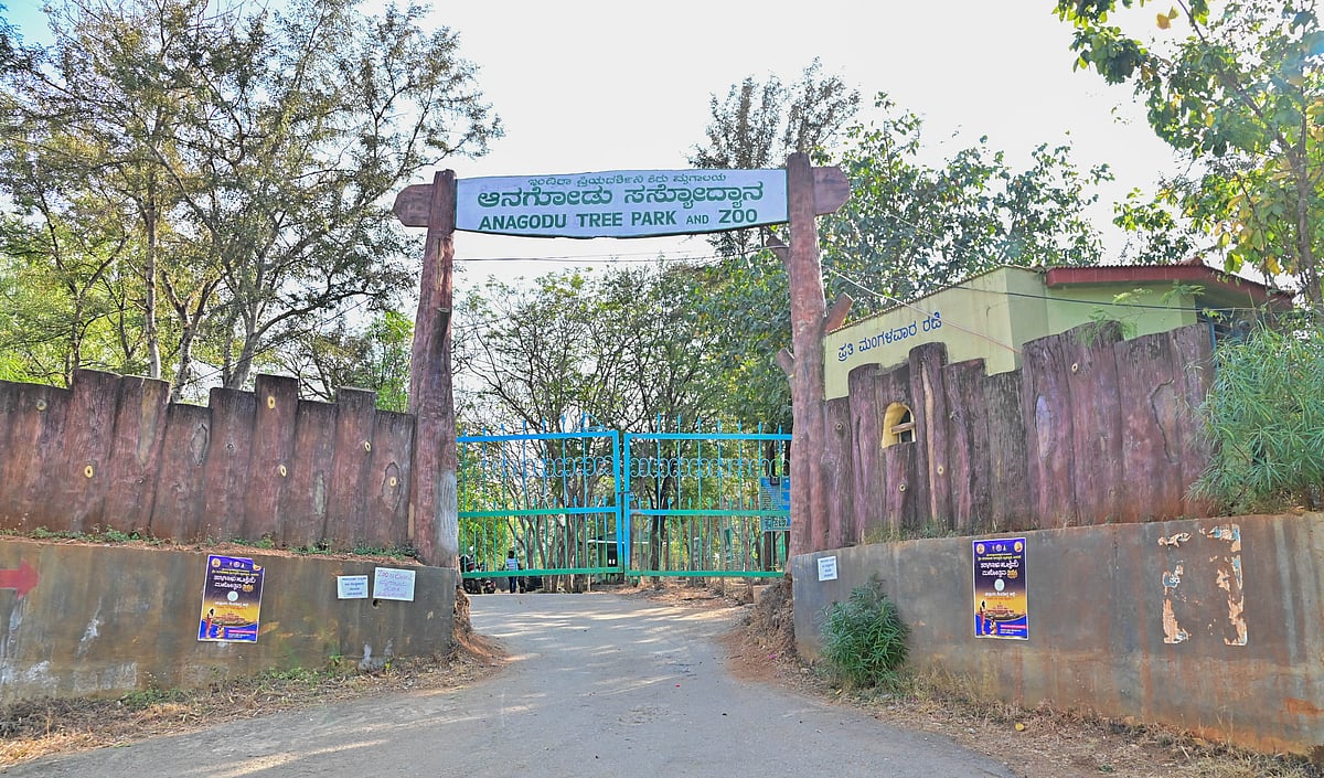 ದಾವಣಗೆರೆ | ಜಾನುವಾರುಗಳಿಗೆ ಗಂಟಲು ಬೇನೆ ಲಸಿಕೆ