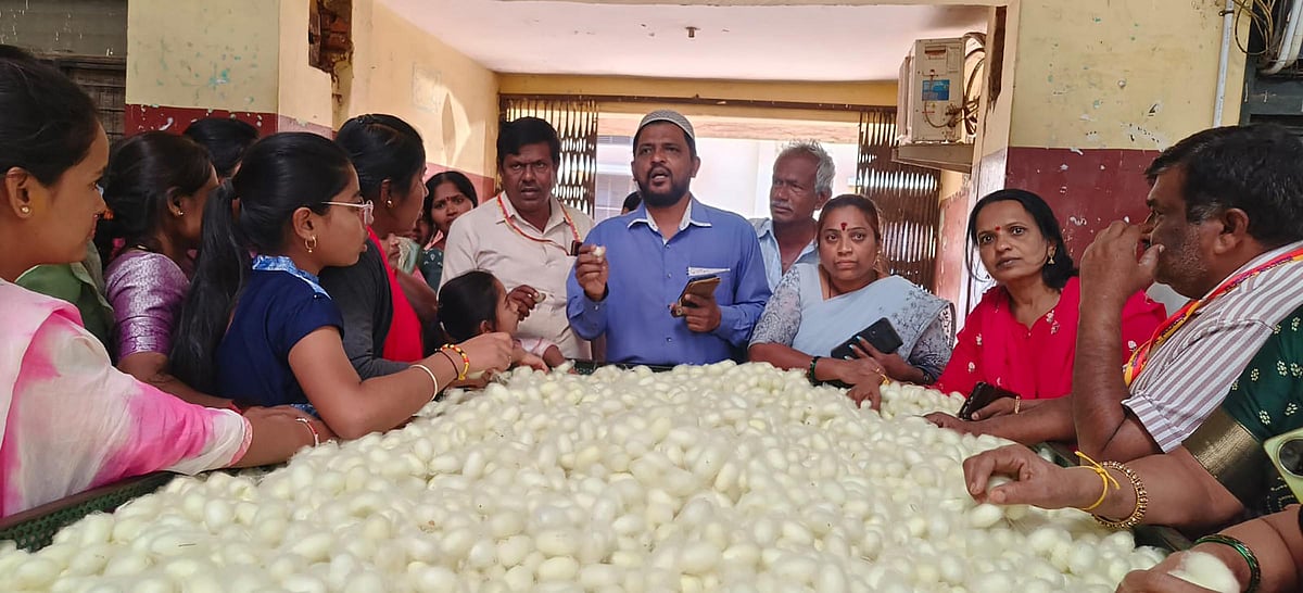 ಶಿಡ್ಲಘಟ್ಟ | ರೇಷ್ಮೆಗೂಡು ಮಾರುಕಟ್ಟೆಗೆ 
ಚಿತ್ರದುರ್ಗ ರೈತರ ಭೇಟಿ