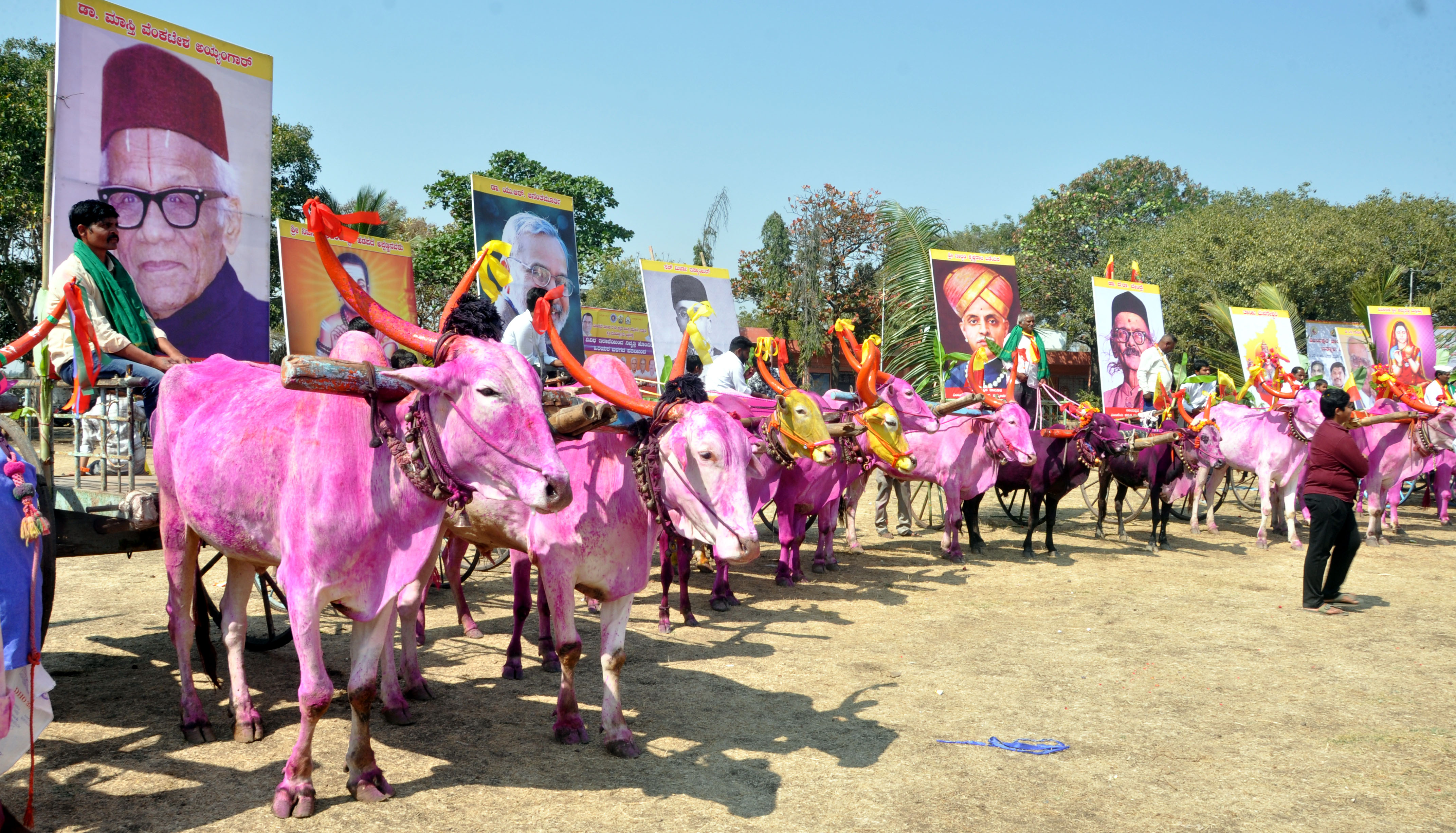 ವಿಜಯಪುರ ತಾಲ್ಲೂಕಿನ ಹಿಟ್ಟಿನಹಳ್ಳಿಯಲ್ಲಿ ಮಂಗಳವಾರ ಆರಂಭವಾದ ಕನ್ನಡ ಸಾಹಿತ್ಯ ಸಮ್ಮೇಳನದ ಮೆರವಣಿಗೆಯಲ್ಲಿ ಪಾಲ್ಗೊಂಡಿದ್ದ ರೈತರ ಎತ್ತಿನ ಬಂಡಿಗಳು –ಪ್ರಜಾವಾಣಿ ಚಿತ್ರ/ಸಂಜೀವ ಅಕ್ಕಿ
