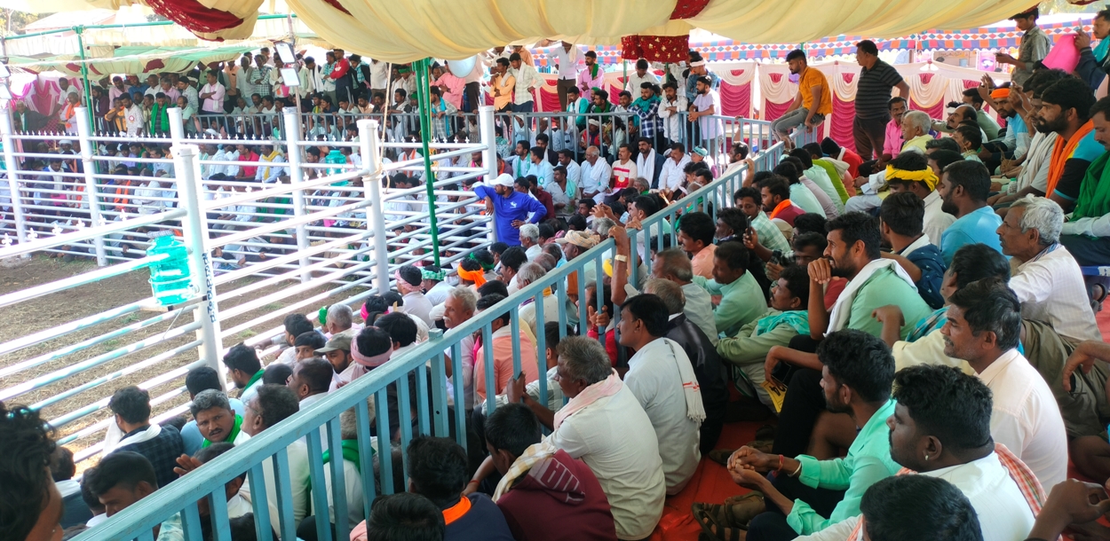 ಬೀರೂರಿನ ಅಮೃತಮಹಲ್‌ ತಳಿ ಸಂವರ್ಧನಾ ಕೇಂದ್ರದಲ್ಲಿ ಬುಧವಾರ ಭಾಗವಹಿಸಿದ್ದ ಬಿಡ್‌ದಾರರು