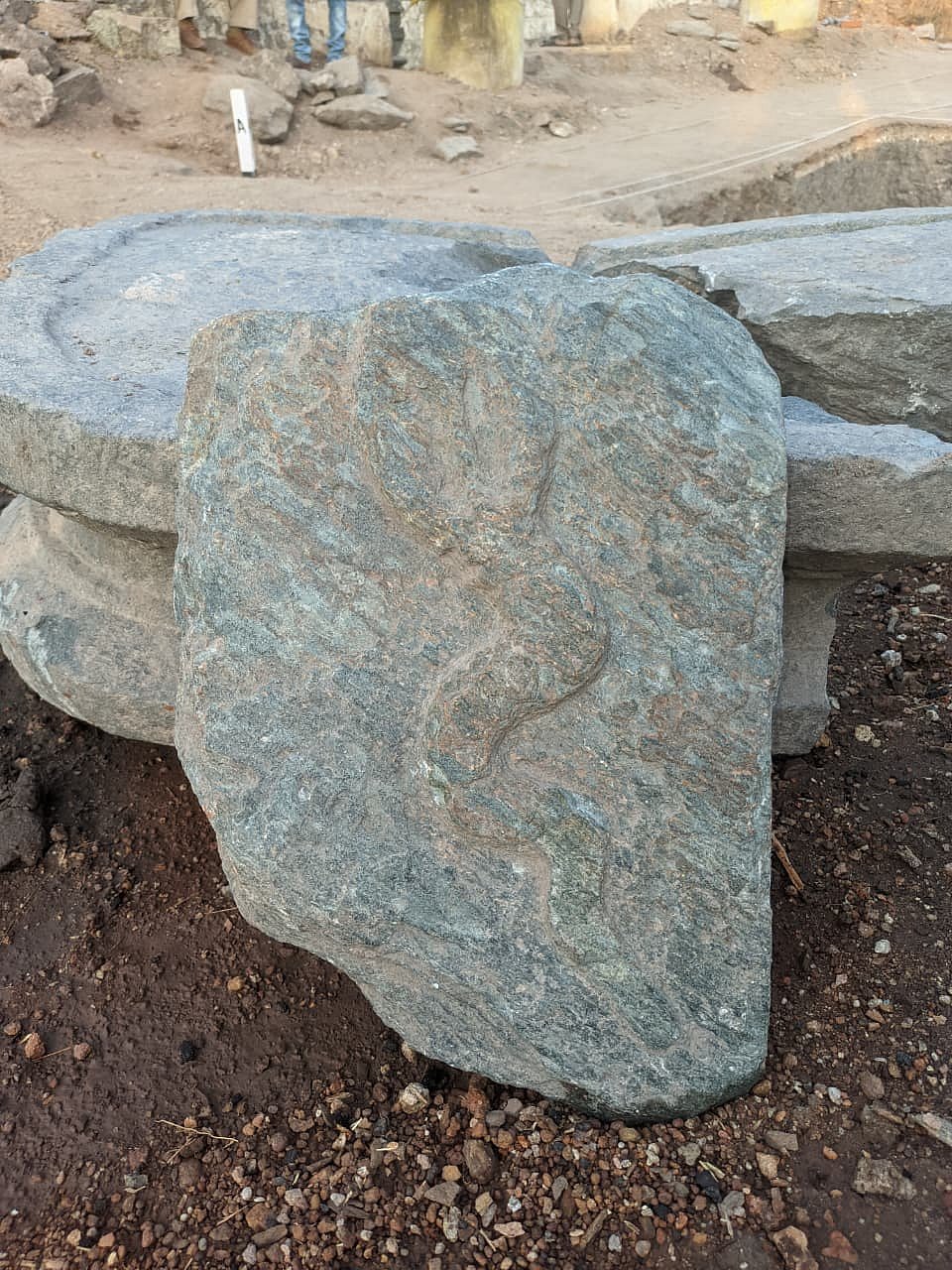 ಲಕ್ಕುಂಡಿಯಲ್ಲಿ ಉತ್ಖನನ: ನಾಗರ ಕಲ್ಲು, ಮೂಳೆ ಪತ್ತೆ