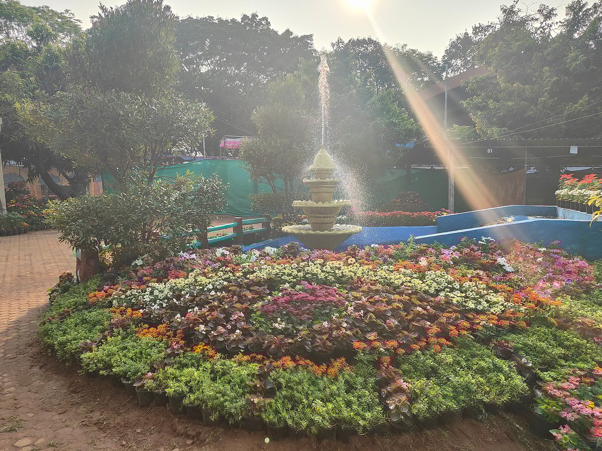 ಫಲಫುಷ್ಪ ಪ್ರದರ್ಶನ: ಕದ್ರಿ ಉದ್ಯಾನದಲ್ಲಿ ‘ವಂದೇ ಭಾರತ್ ರೈಲು