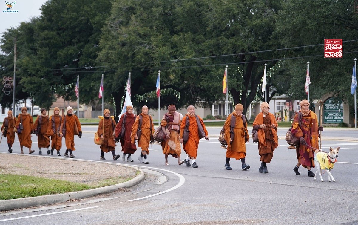 ಸಂತರ ಶಾಂತಿ ನಡಿಗೆಗೆ ನಾಯಿಯೇ ನಾಯಕ: ಬೀದಿಯಿಂದ ಸೀದಾ ಹೃದಯಕ್ಕೆ ಕಾಲಿಟ್ಟ 'ಅಲೋಕ'