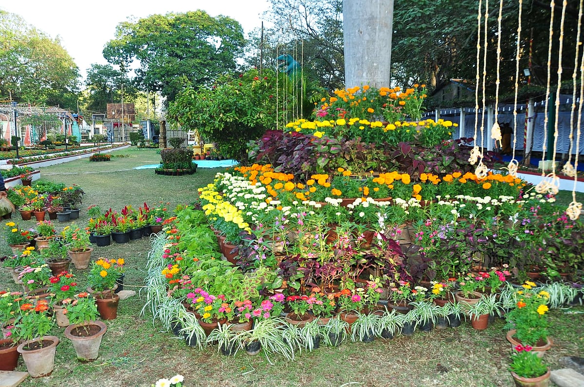 ಮಂಡ್ಯ: ಫಲಪುಷ್ಪ ಪ್ರದರ್ಶನ ಇಂದಿನಿಂದ 