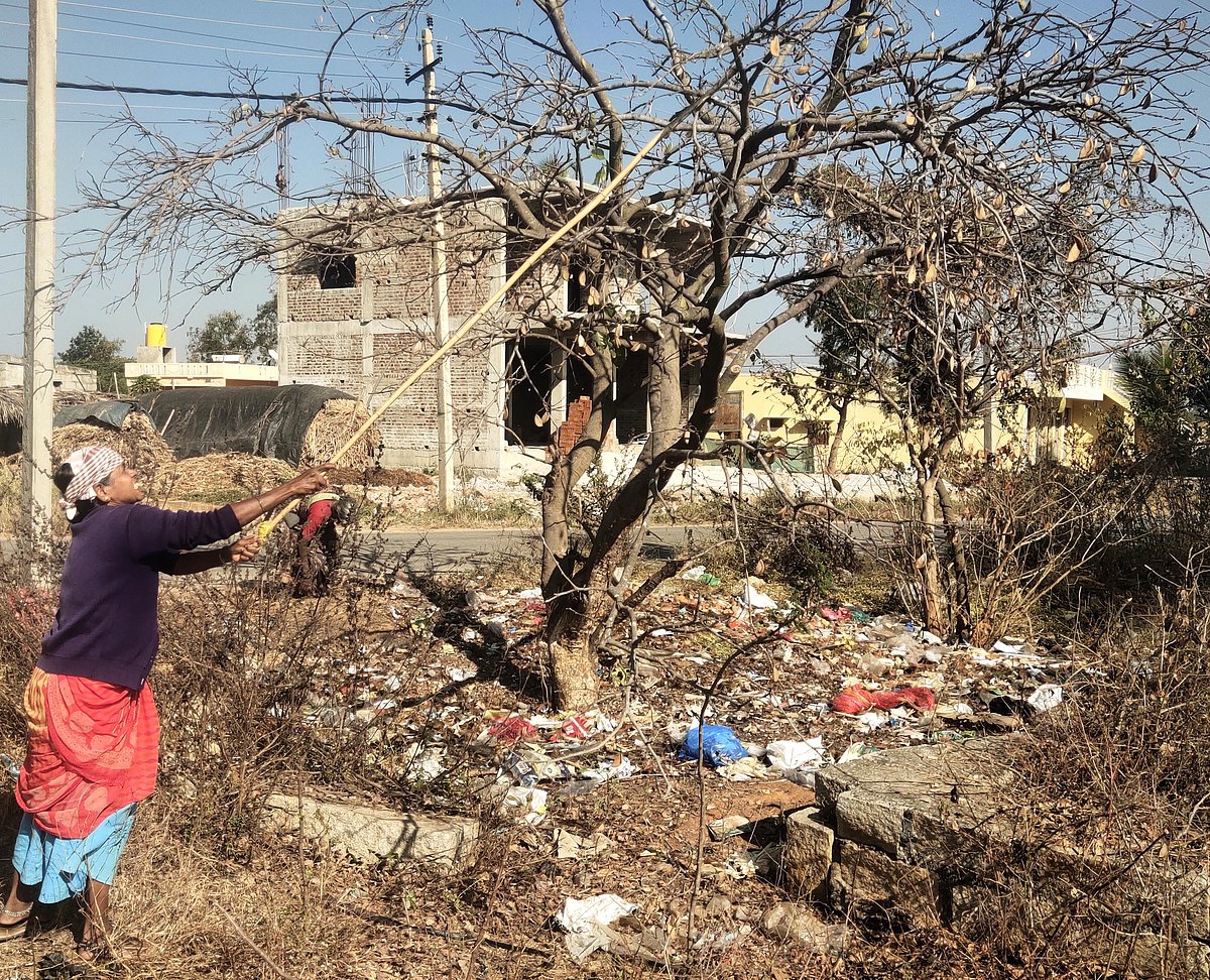 ಬಾಗೇಪಲ್ಲಿ: ಮಹಿಳೆಯರ ಬದುಕಿಗೆ ಆಸರೆಯಾದ ಹೊಂಗೆಬೀಜ
