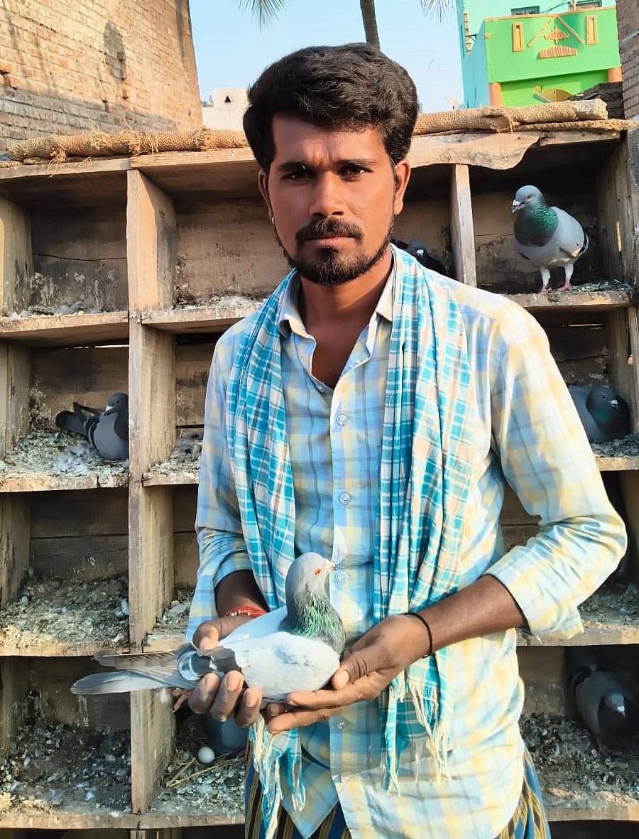 ಮೊಳಕಾಲ್ಮುರು: ‘ಪ್ರೀತಿಯ’ ಪಾರಿವಾಳ ಹಾರಿ ಬಂತೊ ಗೆಳೆಯಾ!