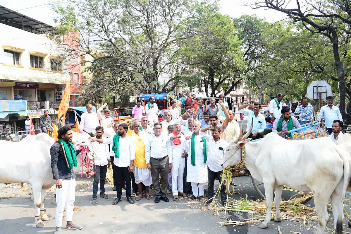 ತೊಗರಿಗೆ ₹12,500 ಎಂಎಸ್‌ಪಿ: ಸಂಯುಕ್ತ ಹೋರಾಟ ಕರ್ನಾಟಕ ಸಂಘಟನೆಯಿಂದ ಪ್ರತಿಭಟನೆ