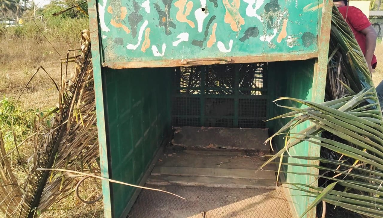 ಅರಣ್ಯ ಇಲಾಖೆ ಚಿರತೆ ಸೆರೆಗೆ ಬೋನು ಇರಿಸಿರುವುದು 