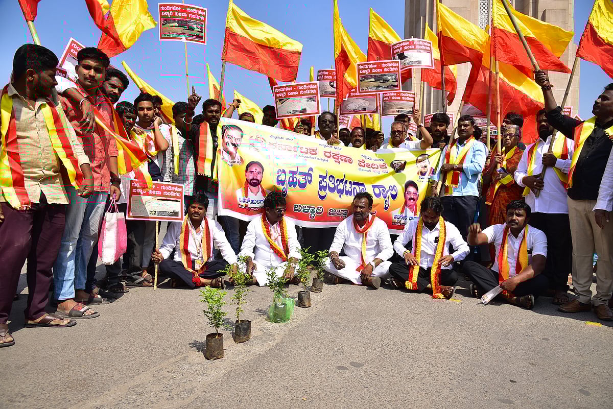 ಬಳ್ಳಾರಿ| ರಸ್ತೆಗಳ ಮಧ್ಯೆ ಗುಂಡಿ; ಗಿಡ ನೆಟ್ಟು ಕರವೇ ಪ್ರತಿಭಟನೆ