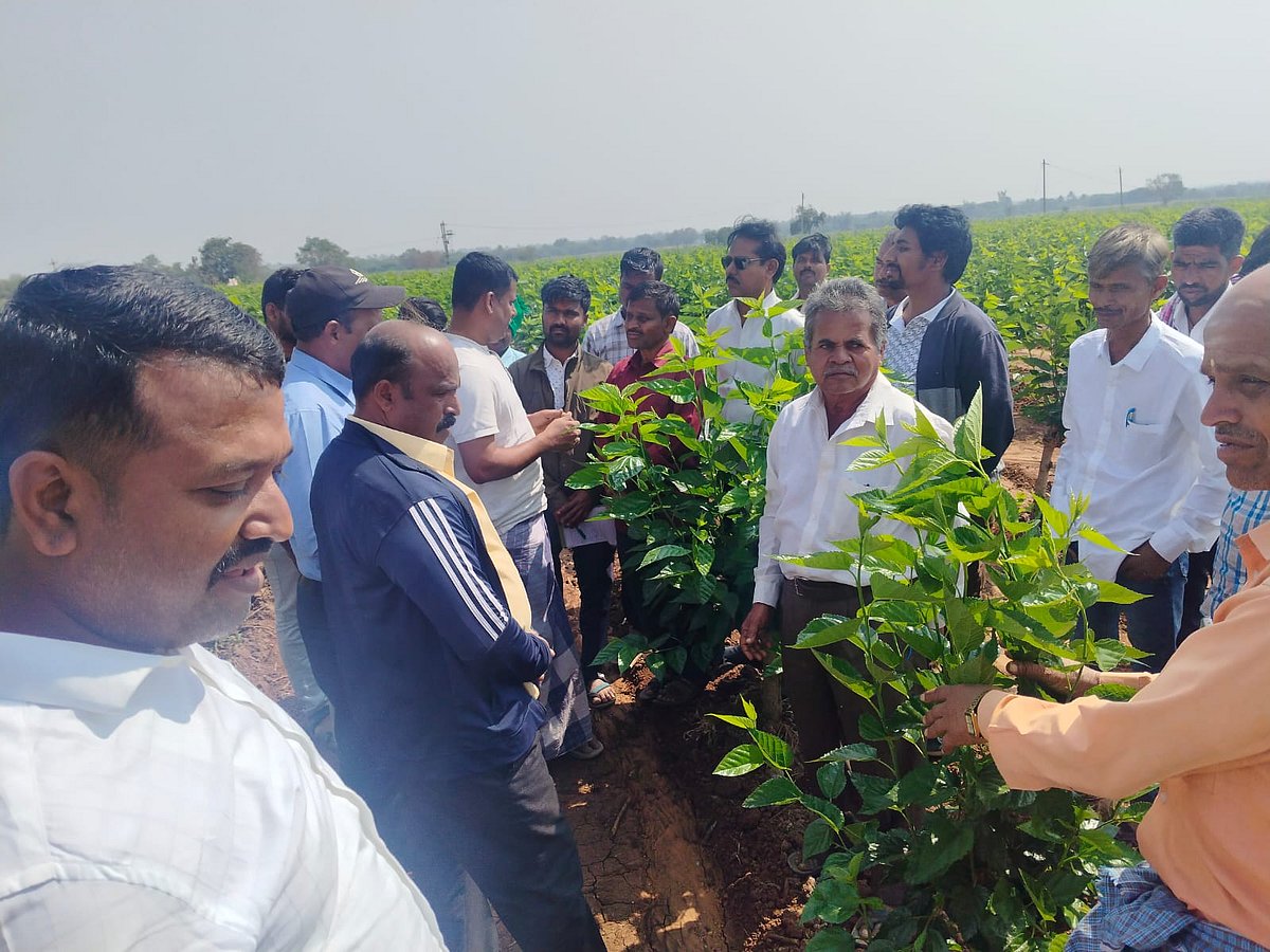 ರೇಷ್ಮೆ ಬೆಳೆದು ಆರ್ಥಿಕವಾಗಿ ಸದೃಢರಾಗಿ
