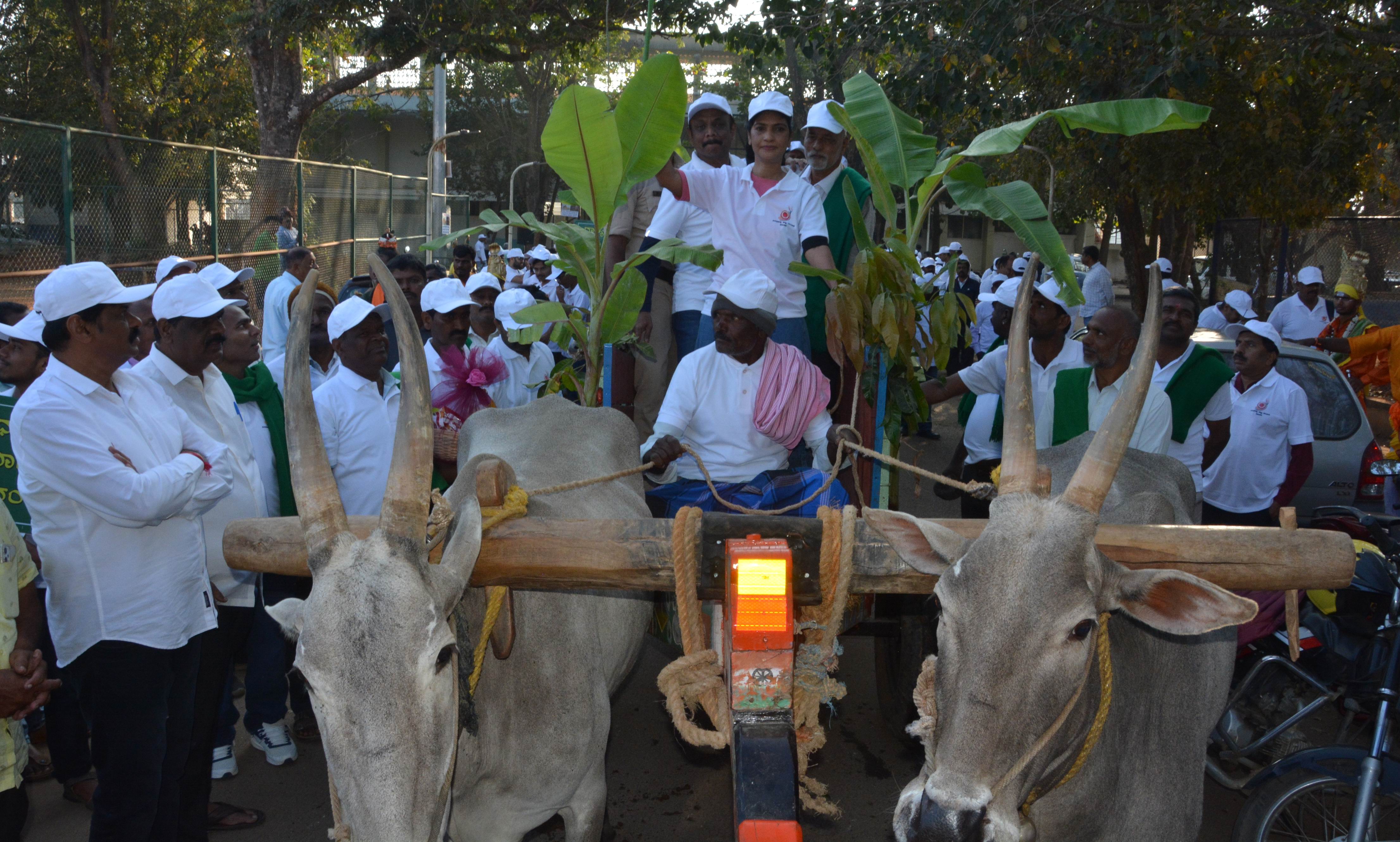 ಹಾಸನದಲ್ಲಿ ಶುಕ್ರವಾರ ಆಯೋಜಿಸಿದ್ದ ಜಾಗೃತಿ ಜಾಥಾದ ಅಂಗವಾಗಿ ಎತ್ತಿನಗಾಡಿಯಲ್ಲಿ ಸಂಚರಿಸಿದ ಜಿಲ್ಲಾಧಿಕಾರಿ ಕೆ.ಎಸ್. ಲತಾಕುಮಾರಿ ಅರಿವು ಮೂಡಿಸಿದರು