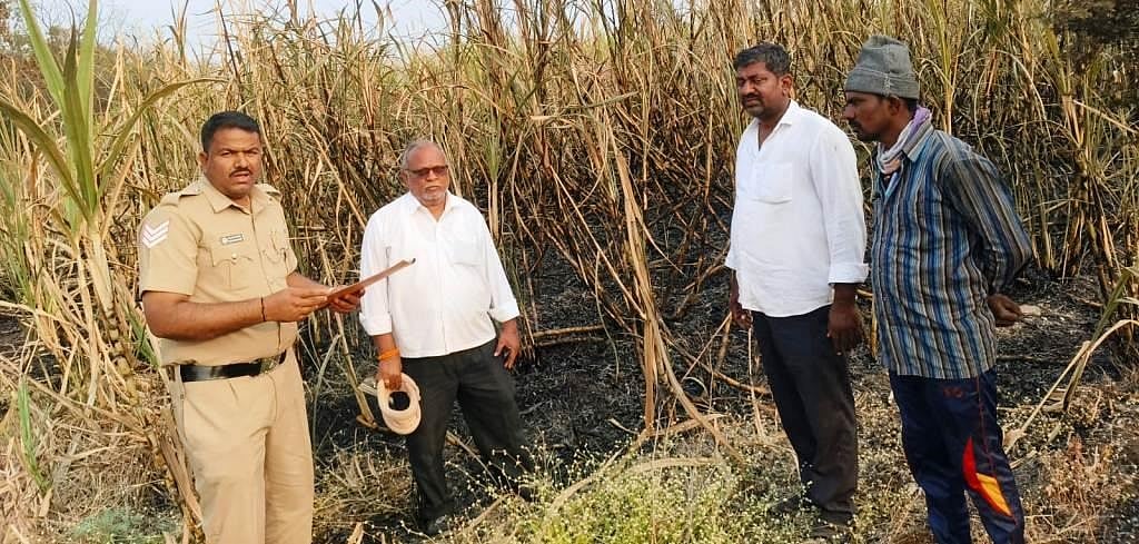 ಬೆಂಕಿ ಅವಘಡ: 4 ಎಕರೆ ಕಬ್ಬು ನಾಶ