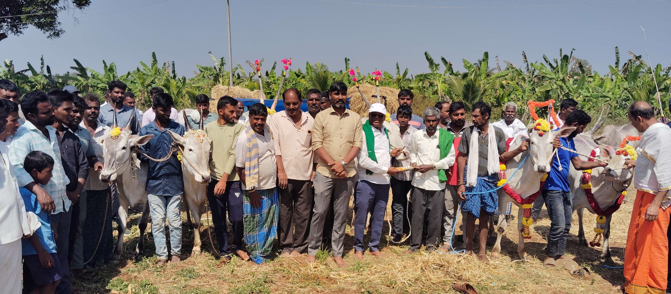 ಬೆಟ್ಟದಪುರ ಹೊರವಲಯದ ಹರದೂರು ಗೇಟ್ ಬಳಿ ಸಿಡಿಲು ((ಶಿಡ್ಲು) ಮಲ್ಲಿಕಾರ್ಜುನ ಸ್ವಾಮಿ ಜಾನುವಾರುಗಳ ಜಾತ್ರೆಗೆ ತಹಶೀಲ್ದಾರ್ ನಿಸರ್ಗಪ್ರಿಯ ಶುಕ್ರವಾರ ಚಾಲನೆ ನೀಡಿದರು. ರಾಜಶೇಖರ್ ಶಶಿಧರ್ ದೇವರಾಜು ಸಂದೀಪ್ಕೃಷ್ಣಪ್ರಸಾದ್ ಪಾಲ್ಗೊಂಡಿದ್ದರು.