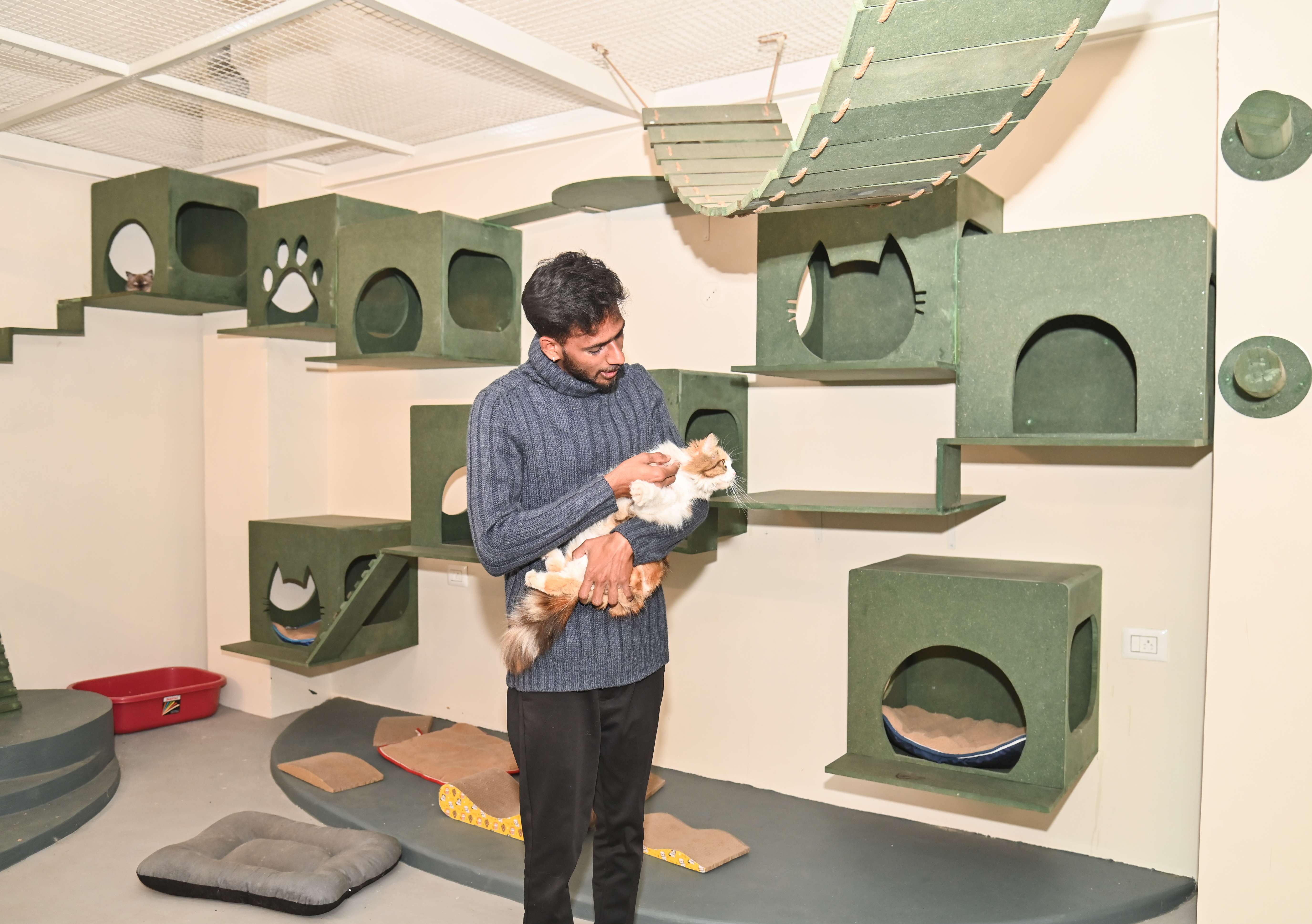 ಜಿನ್ ಮಿನ್ ಕ್ಯಾಟ್ ವರ್ಲ್ಡ್‌ನಲ್ಲಿ ಸಿಬ್ಬಂದಿ ಬೆಕ್ಕುಗಳನ್ನು ಮುದ್ದಾಡುತ್ತಿರುವುದು 