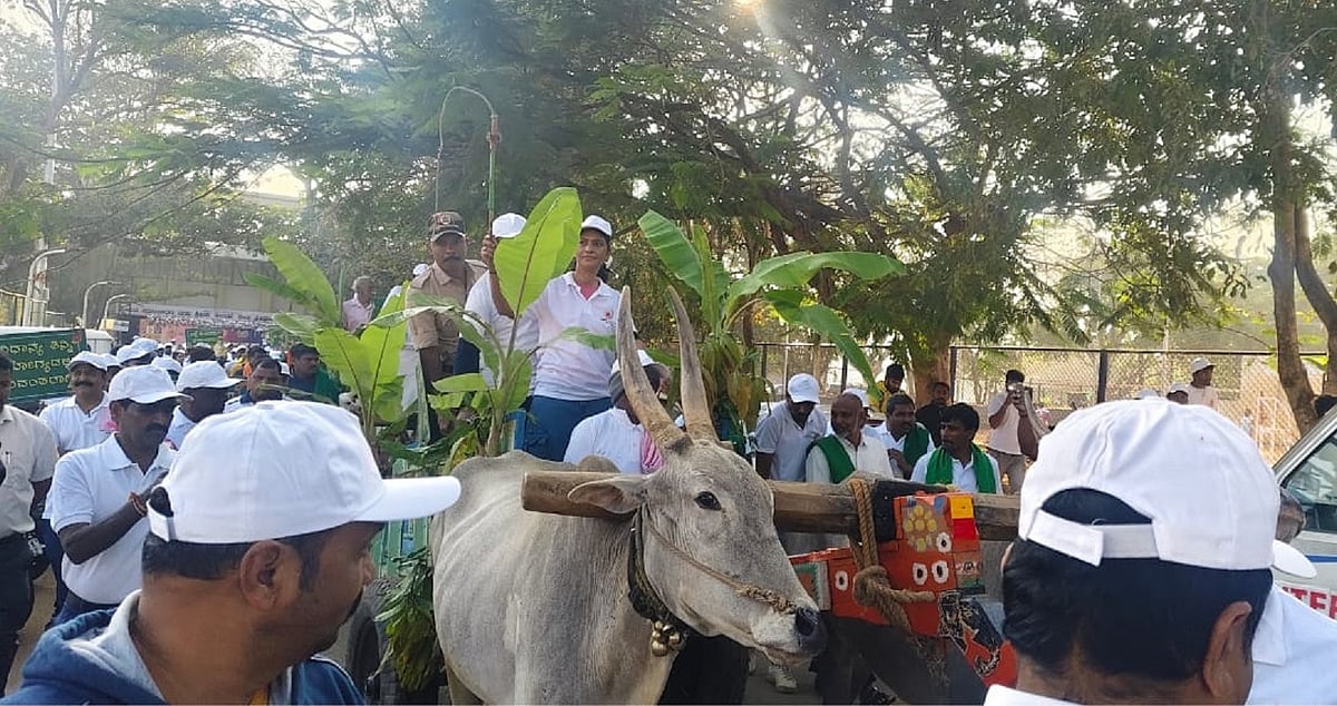 ಆರೋಗ್ಯಕರ ಜೀವನಕ್ಕೆ ಸಿರಿಧಾನ್ಯ ಬಳಸಿ