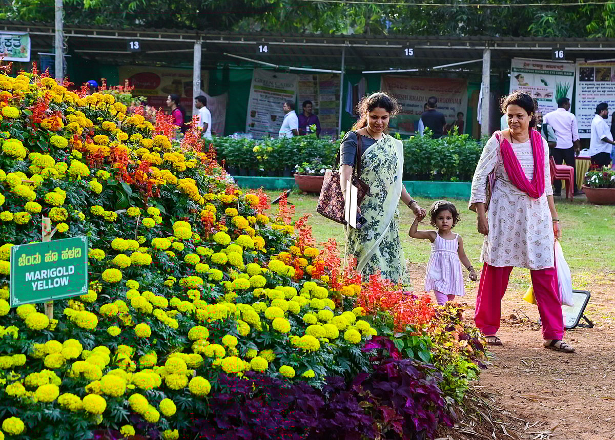 ಹೂವಿನ ಲೋಕದಲ್ಲಿ ತರಹೇವಾರಿ ತರಕಾರಿ 