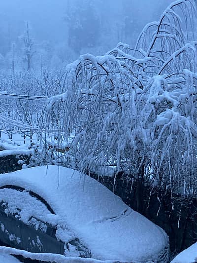 ಮೂರು ತಿಂಗಳ ಶುಷ್ಕ ಹವಾಮಾನದ ನಂತರ ಹಿಮಾಚಲ ಪ್ರದೇಶದಲ್ಲಿ ಈ ಋತುವಿನ ಮೊದಲ ಹಿಮಪಾತವಾಗುತ್ತಿದೆ