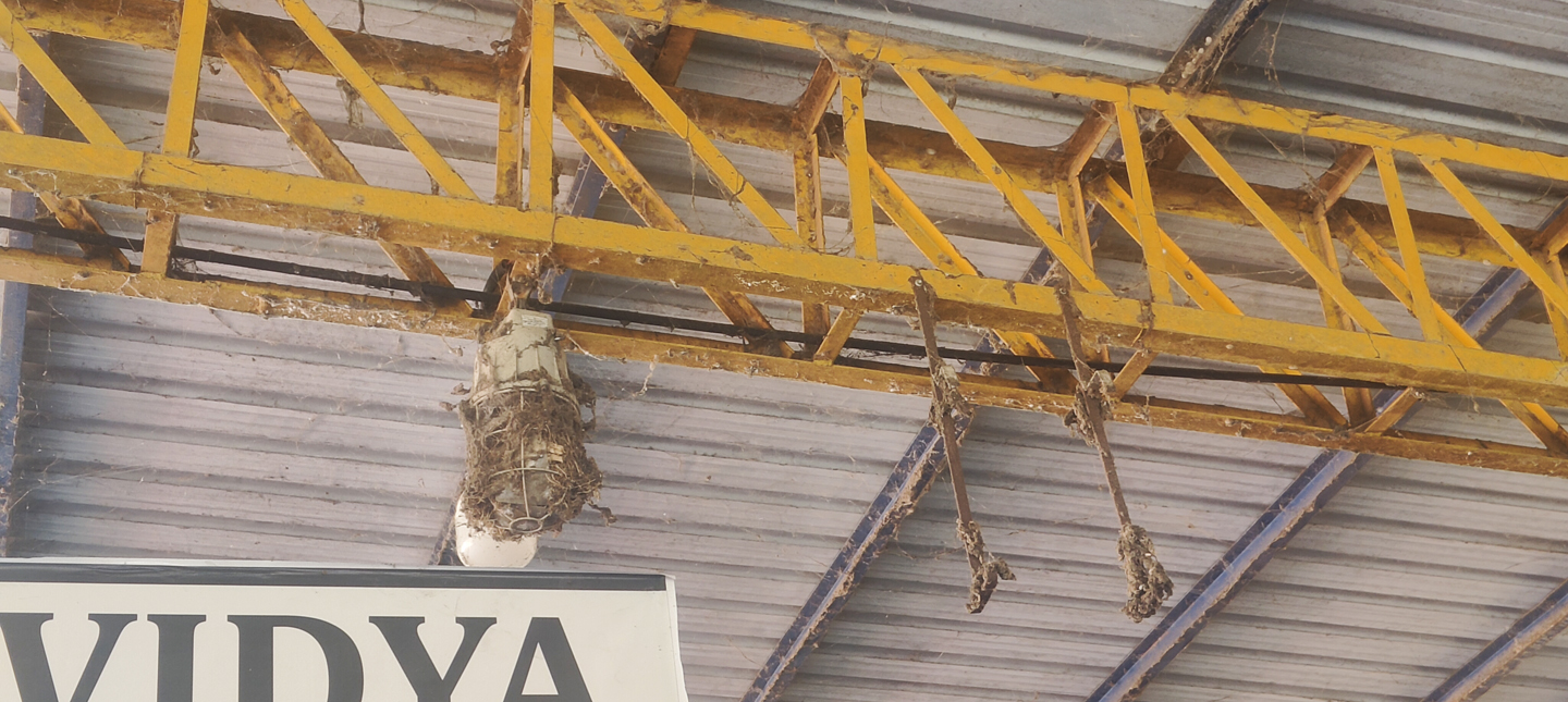 ಛಾವಣಿ ಸಂಪೂರ್ಣ ಹಾಸುಗಟ್ಟಿರುವುದು(ಜಾಡು).