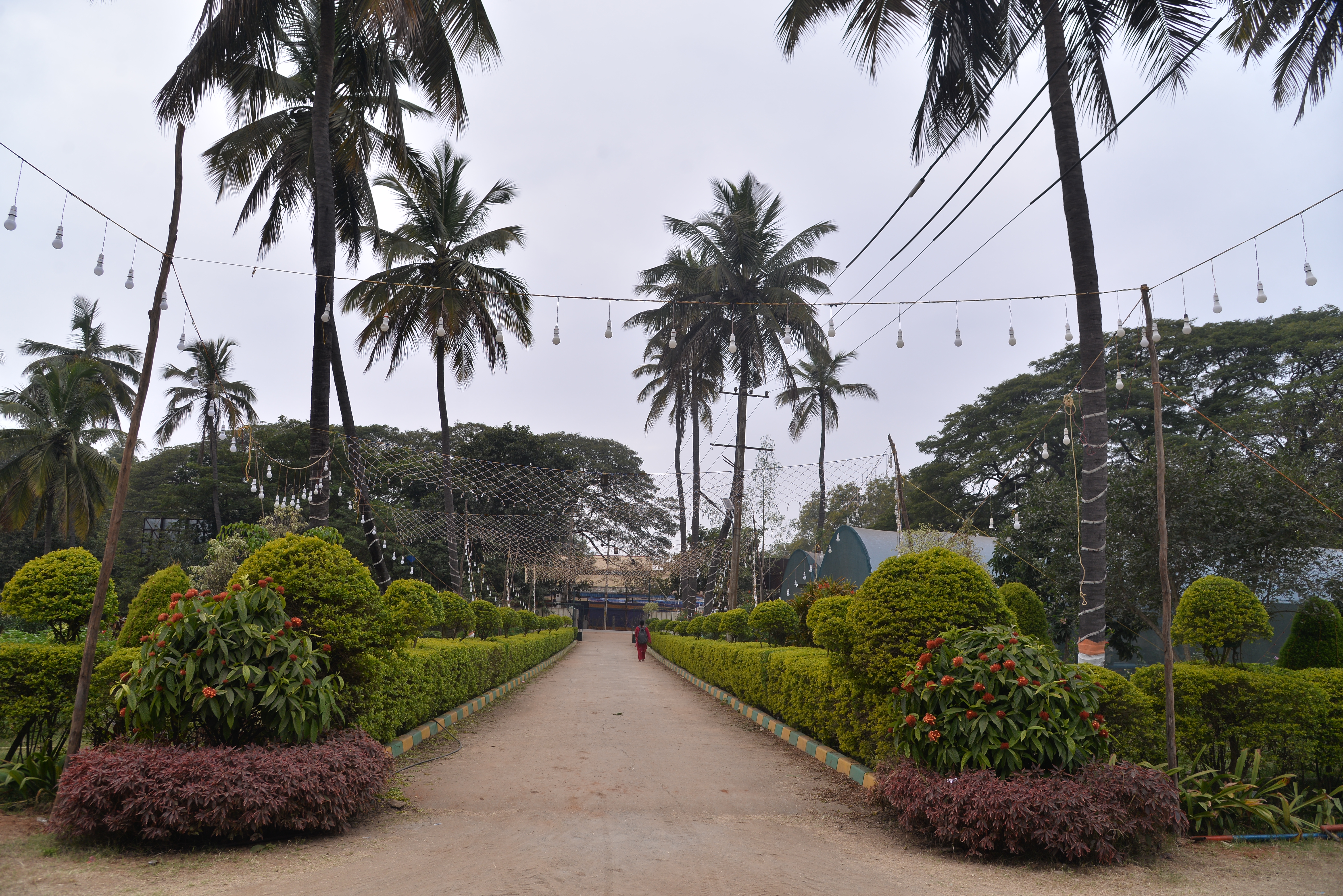 ಕೋಲಾರದ ಜಿಲ್ಲಾ ತೋಟಗಾರಿಕೆ ನರ್ಸರಿ