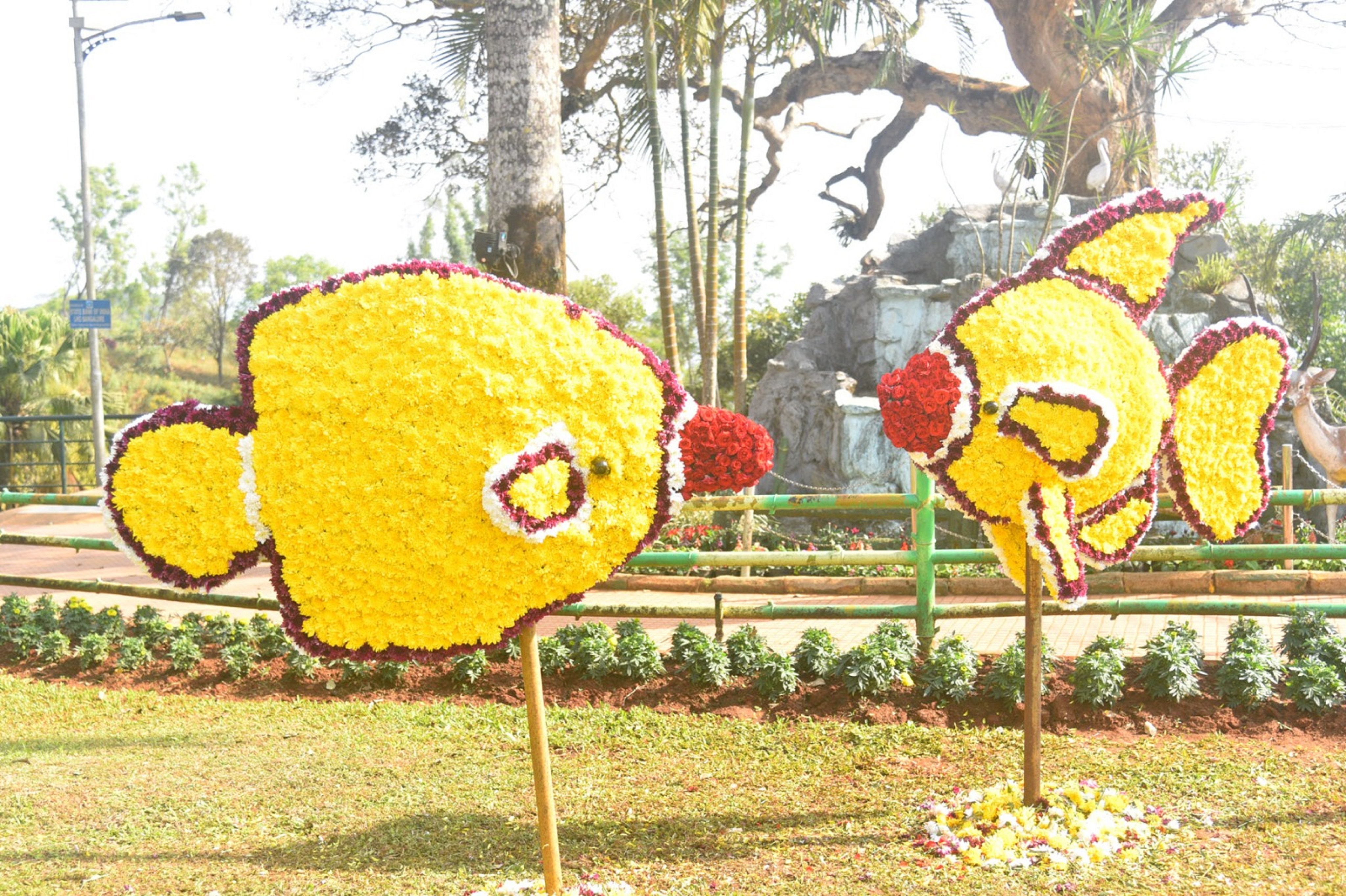 ಹೂಗಳಿಂದ ಸಿಂಗರಿಸಿದ ಮೀನುಗಳ ಕಲಾಕೃತಿಗಳು ಸೂಜಿಗಲ್ಲಿನಂತೆ ಸೆಳೆಯುತ್ತಿವೆ