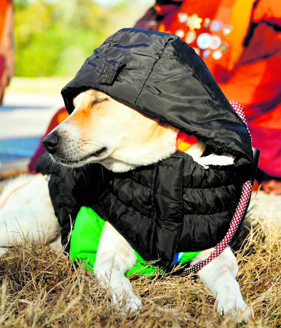 ನಮ್ಮ ಫ್ಯಾಷನ್‌ ಫ್ರೀಕ್‌...