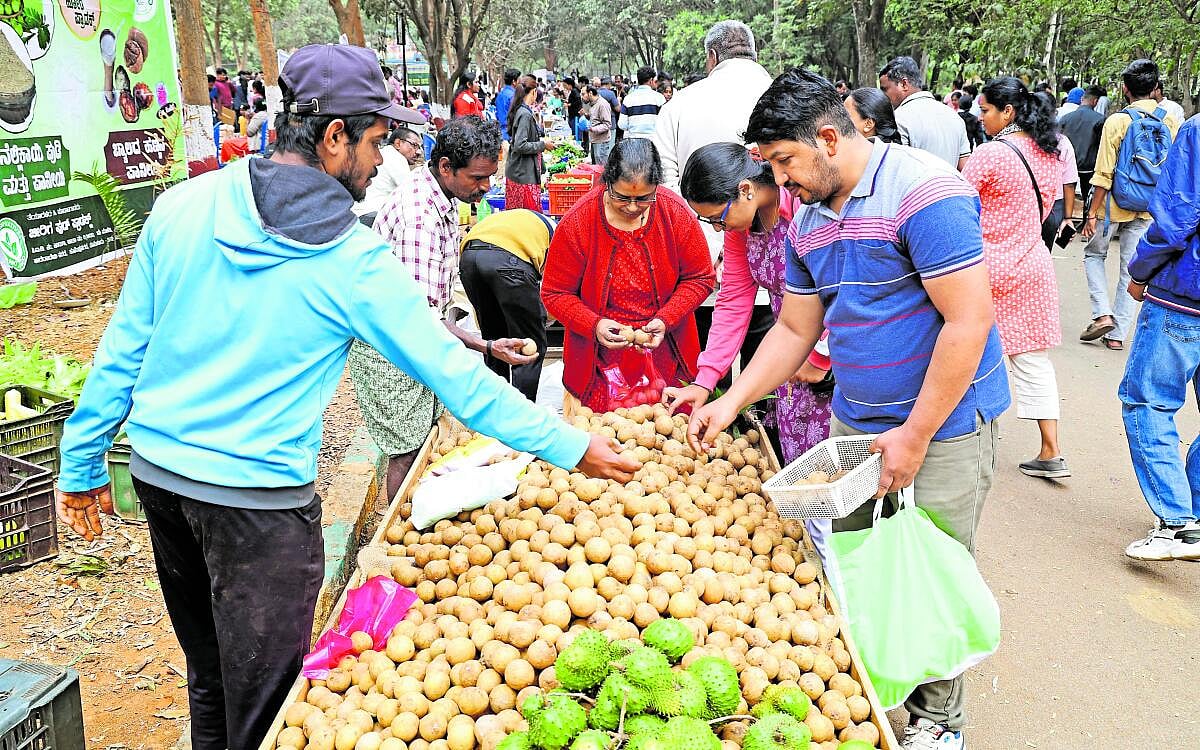 ಜಿಕೆವಿಕೆ ಆವರಣದಲ್ಲಿ ರೈತ ಸಂತೆ: ತಾಜಾ ಹಣ್ಣು, ಅಣಬೆ ಆಕರ್ಷಣೆ