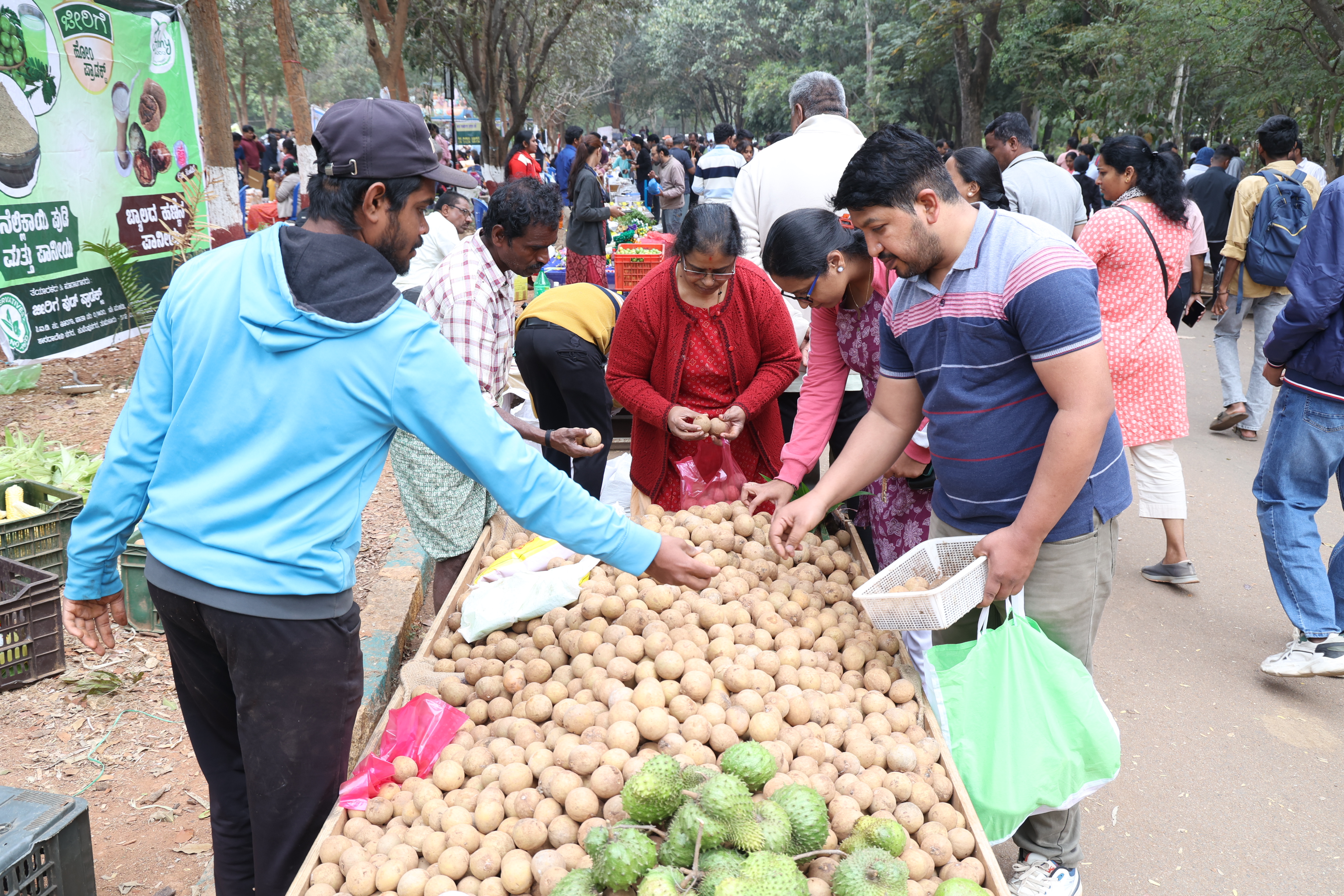 ತಾಜಾ ಸಪೋಟ ಹಣ್ಣುಗಳ ಖರೀದಿಯಲ್ಲಿ ತೊಡಗಿರುವ ಸಾರ್ವಜನಿಕರು