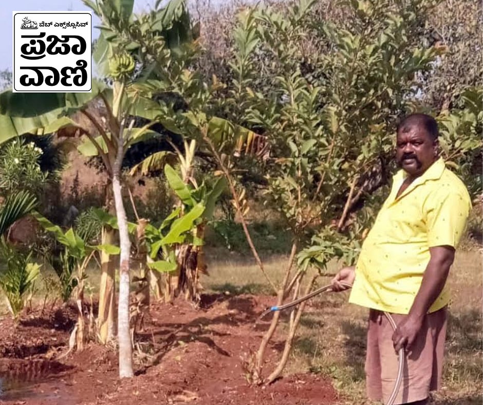 PV Web Exclusive: ಸ್ಮಶಾನದಲ್ಲೊಂದು ತೋಟ; ಮೌನ ಭೂಮಿಯಲ್ಲಿ ಹಕ್ಕಿಗಳ ಕಲರವ 