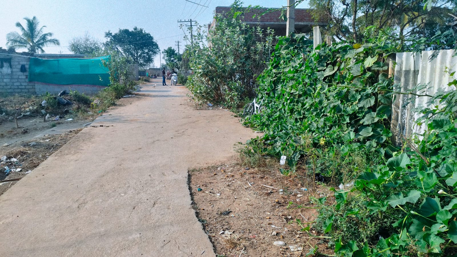 ರಸ್ತೆ ಆವರಿಸುತ್ತಿರುವ ಪೊದೆಗಳು