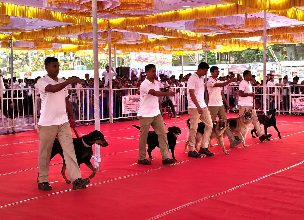ಬೆಳಗಾವಿ | ಗಮನಸೆಳೆದ ಶ್ವಾನ, ಬೆಕ್ಕುಗಳ ಪ್ರದರ್ಶನ 