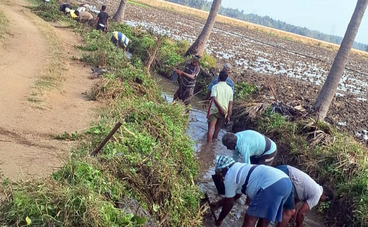 ಶ್ರೀರಂಗಪಟ್ಟಣ: ವಿರಿಜಾ ವಿತರಣಾ ನಾಲೆಯ ಹೂಳು ತೆಗೆದ ರೈತರು