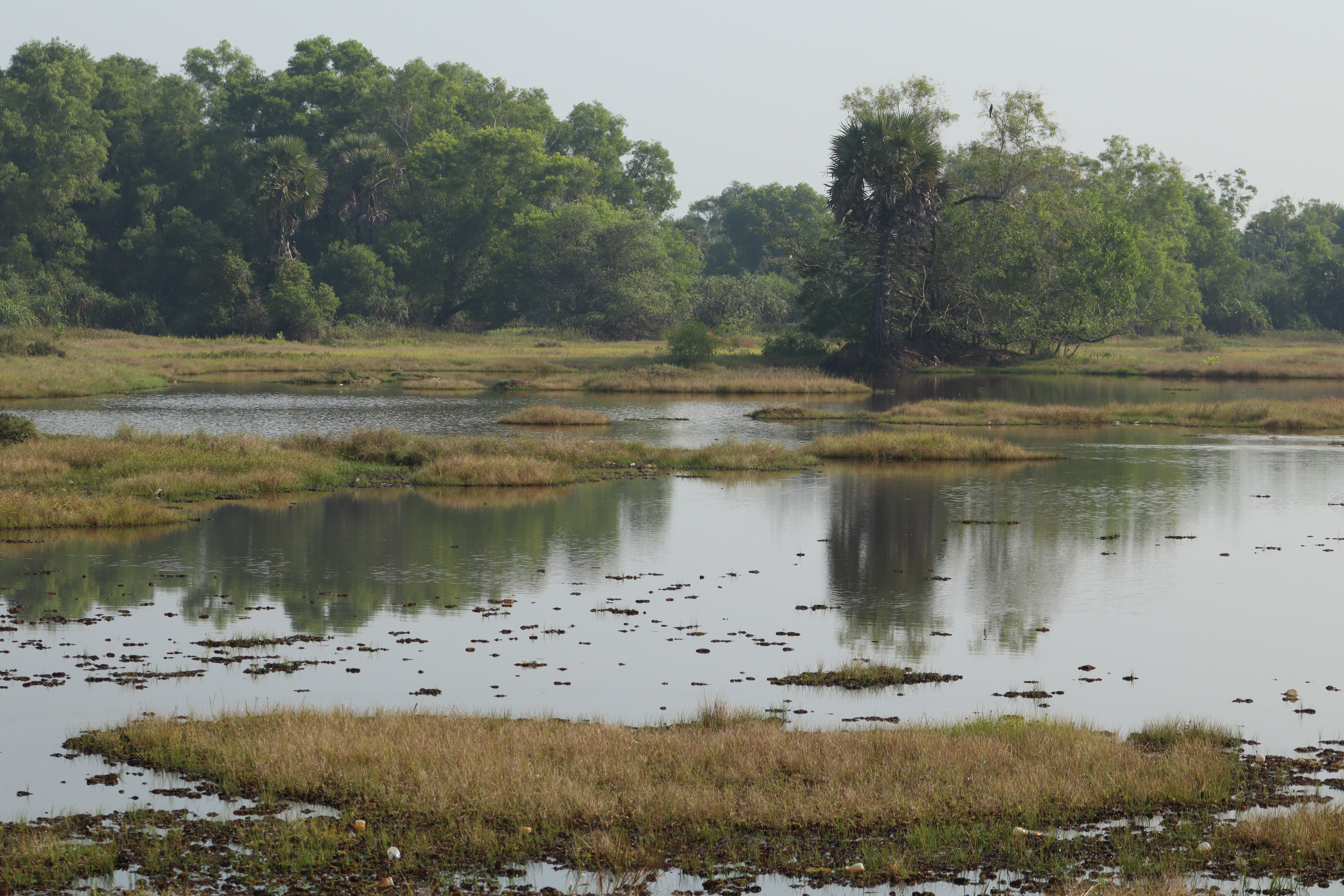 ಮಲ್ಯಾಡಿಯ ಕೆರೆ ಪ್ರದೇಶ