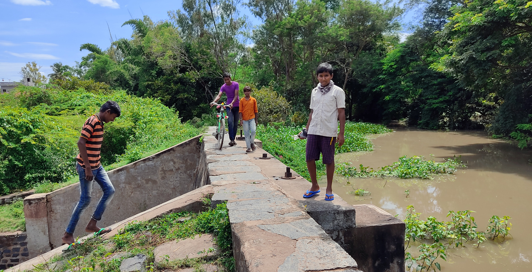 ಗಣಿಗನೂರು ಬಳಿ ಸುವರ್ಣವತಿ ನದಿ ನೀರಿನಿಂದ ಕಂಗೊಳಿಸುವ ಹಸಿರು ಪ್ರದೇಶ
