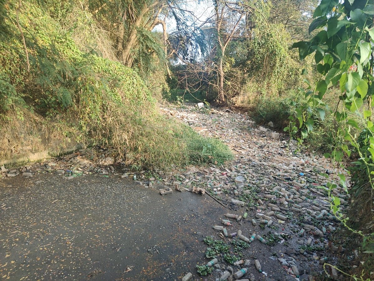 ಮೈಸೂರು: ಮರಣಶಯ್ಯೆಯತ್ತ ‘ಲಿಂಗಾಂಬುಧಿ’ ಕೆರೆ 