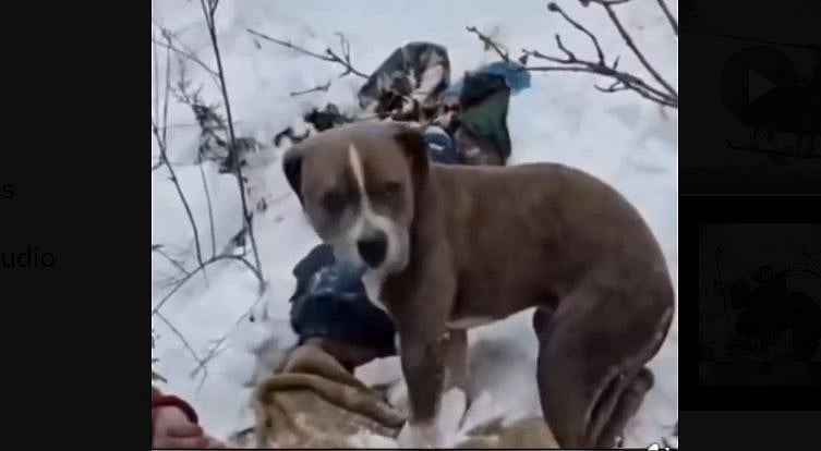 ಮನಕಲಕುವ ದೃಶ್ಯ: ಶೂನ್ಯ ಡಿಗ್ರಿ ತಾಪಮಾನದಲ್ಲಿ 4 ದಿನ ಮಾಲೀಕನ ಮೃತದೇಹ ಕಾದ ಶ್ವಾನ