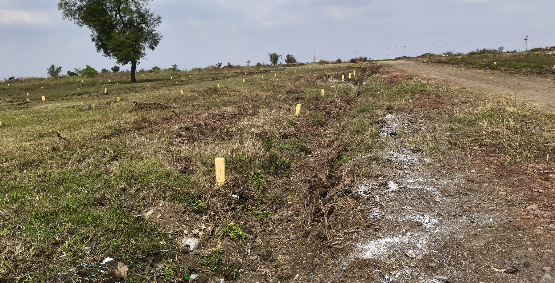 ಬ್ಯಾಡಗಿ ಪಟ್ಟಣದ ಮಲ್ಲೂರು ರಸ್ತೆ ಬದಿ 10 ಎಕರೆ ಜಾಗೆಯಲ್ಲಿ ಆಶ್ರಯ ಯೋಜನೆಯಡಿ ನಿರ್ಮಿಸಿದ ಬಡಾವಣೆಯಲ್ಲಿ ಕೇವಲ ಕಲ್ಲುಗಳನ್ನು ಮಾತ್ರ ನಿಲ್ಲಿಸಲಾಗಿದ್ದು ಯಾವುದೇ ಮೂಲ ಸೌಲಭ್ಯ ಕಲ್ಪಿಸಿಲ್ಲ