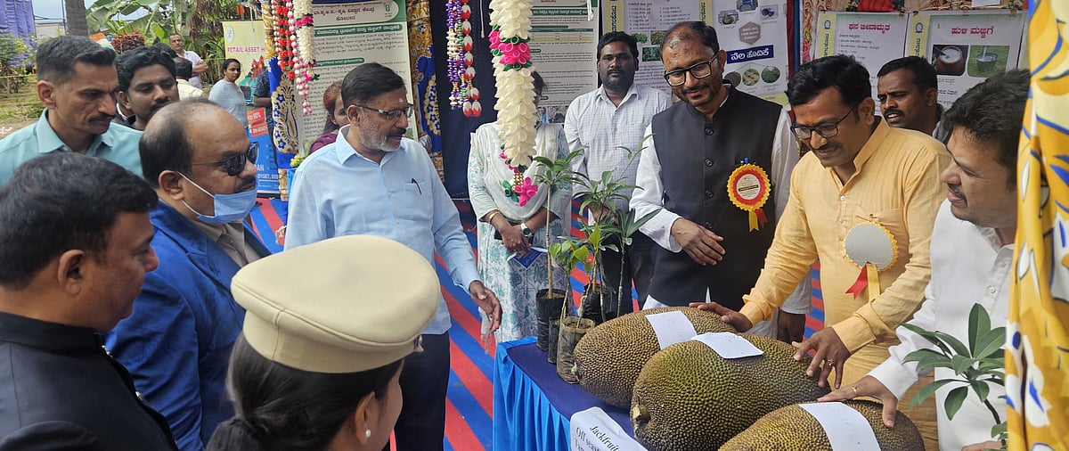 ಕೋಲಾರ: ಗಮನ ಸೆಳೆದ ವಿಶೇಷ ಹಲಸಿನ ಹಣ್ಣು!