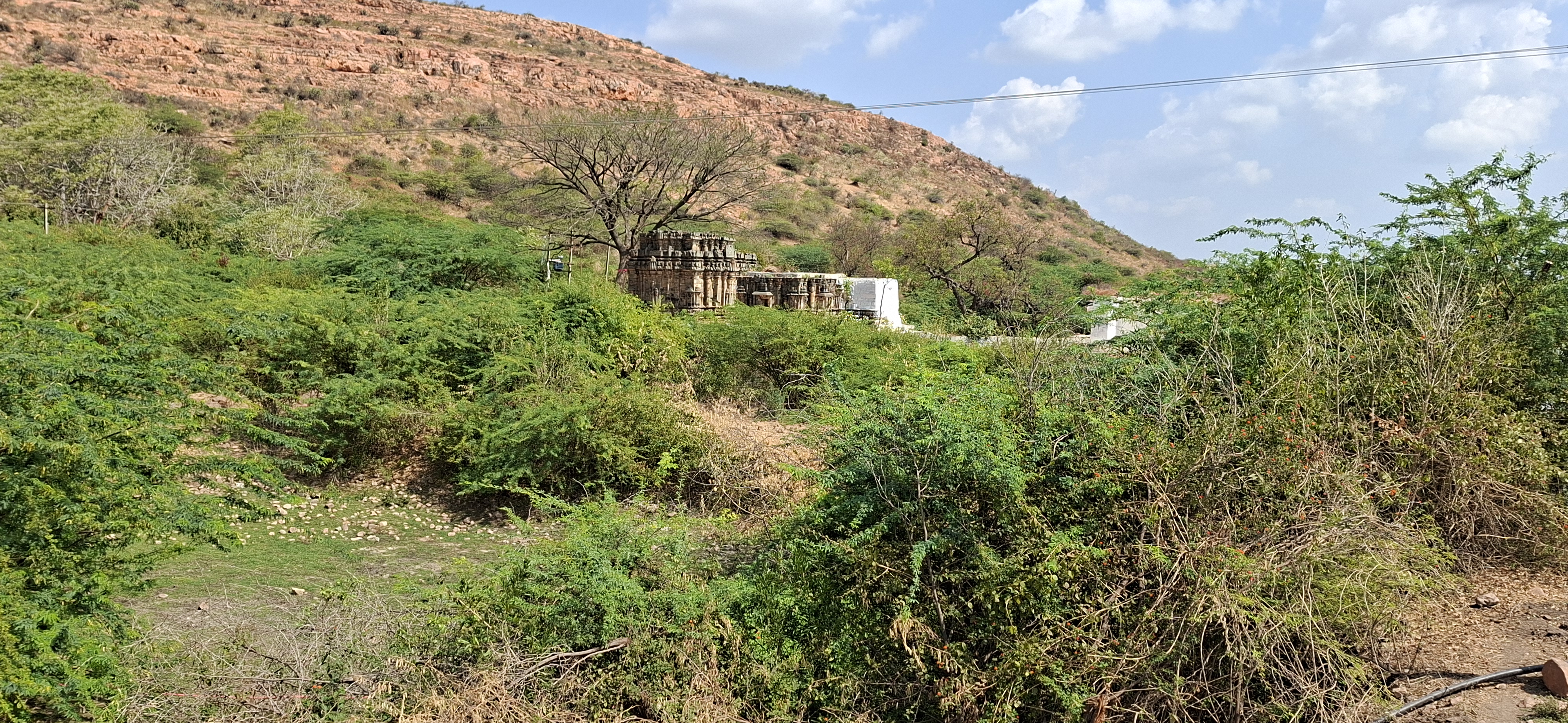 ಗಿಡಗಂಟಿಗಳಲ್ಲಿ ಮರೆಯಾದ ಹೂಲಿಯ ಪುರಾತನ ದೇಗುಲಗಳು   ಪ್ರಜಾವಾಣಿ ಚಿತ್ರ: ಇಮಾಮ್‌ಹುಸೇನ್‌ ಗೂಡುನವರ