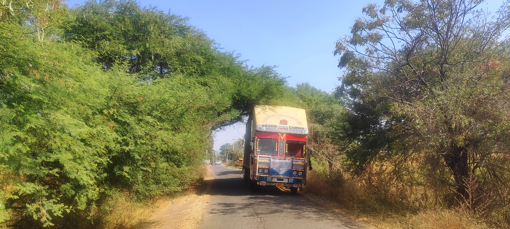 ಖತಗಾಂವ ಕ್ರಾಸ್‍ದಿಂದ ಮುರ್ಕಿ ಗ್ರಾಮಕ್ಕೆ ಸಂಪರ್ಕ ಕಲ್ಪಿಸುವ ಮುಖ್ಯ ರಸ್ತೆಯ ಎರಡೂ ಬದಿಯ ಗಿಡ ಗಂಟೆಗಳು ರಸ್ತೆಯ ಮೇಲೆ ವಾಲಿಕೊಂಡಿವೆ