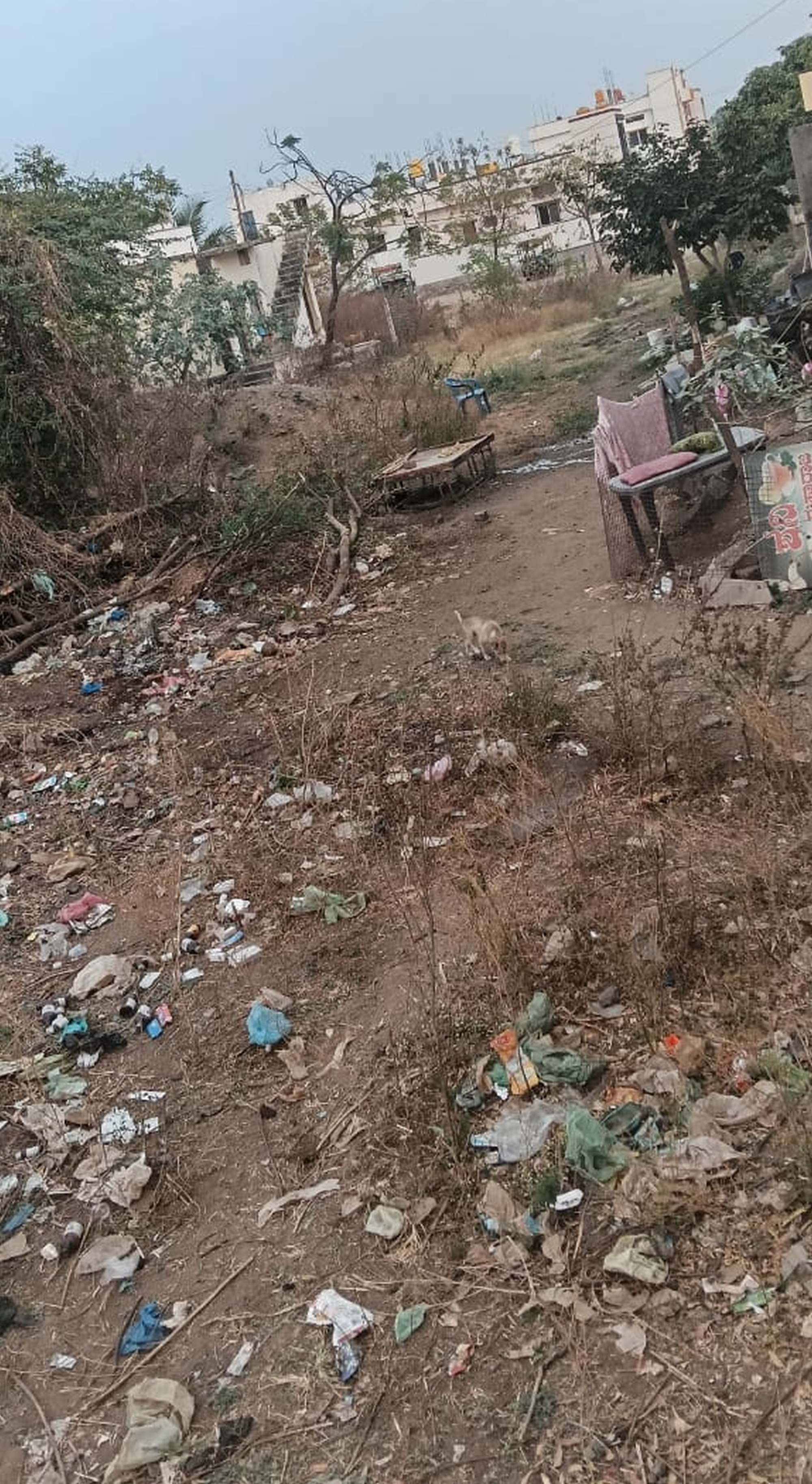 ಕಲಬುರಗಿ ಹೊರವಲಯದ ಅಫಜಲಪುರ ರಸ್ತೆಯ ಕುಶಿ ನಗರ ಬಡಾವಣೆಯಲ್ಲಿ ಕಸ ಸಂಗ್ರಹವಾಗಿರುವುದು