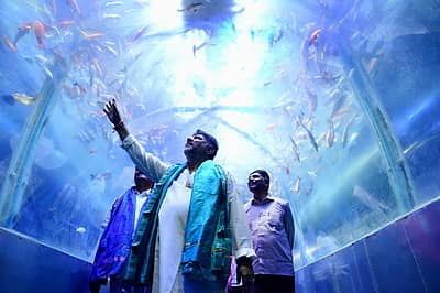 ಈ ಕುರಿತು ಡಿಸಿಎಂ ಡಿ.ಕೆ.ಶಿವಕುಮಾರ್ ಅವರ ಸಾಮಾಜಿಕ ಮಾಧ್ಯಮ ಎಕ್ಸ್ ಖಾತೆಯಲ್ಲಿ, ‘ಕನಕೋತ್ಸವ ಯಾವಗಲೂ ನನ್ನ ಹೃದಯಲ್ಲಿ ವಿಶೇಷ ಸ್ಥಾನದಲ್ಲಿರುತ್ತದೆ. ಈ ಉತ್ಸವದಲ್ಲಿ ಅಕ್ವೇರಿಯಂ ಲೋಕದೊಳಗೆ ನಡೆದುಕೊಂಡು ಹೋಗುವುದೇ ಕಣ್ಣಿಗೆ ಹಬ್ಬದಂತಿದೆ. ಈ ಕನಕೋತ್ಸವವು ಅನೇಕ ಬಾಲ್ಯದ ದಿನಗಳನ್ನು ನೆನಪಿಸಿದೆ’ ಎಂದು ಬರೆದುಕೊಂಡಿದ್ದಾರೆ. 