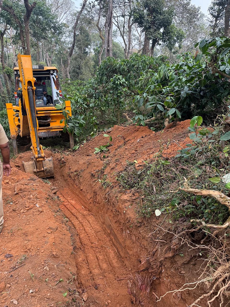 66 ಎಕರೆ ಅರಣ್ಯ ಒತ್ತುವರಿ ತೆರವು