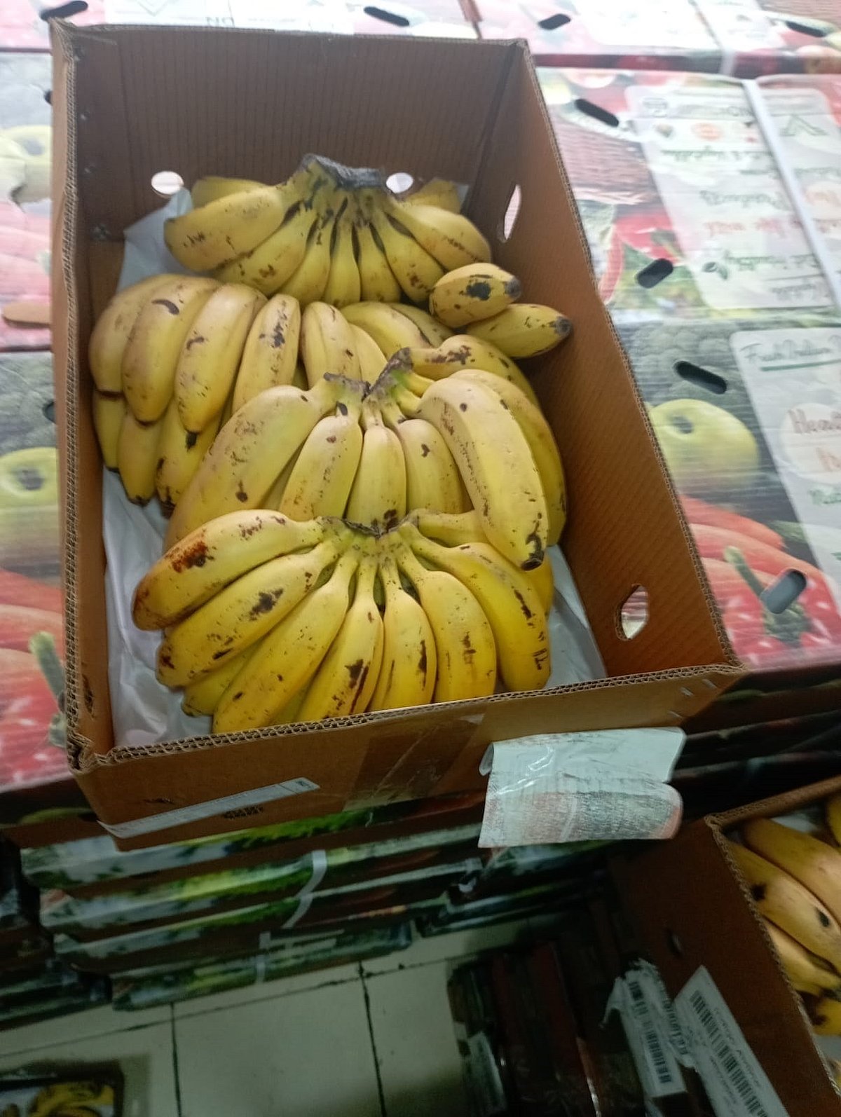 ಮಾಲ್ಡೀವ್ಸ್‌ನಲ್ಲಿ ‘ನಂಜನಗೂಡು ರಸಬಾಳೆ’