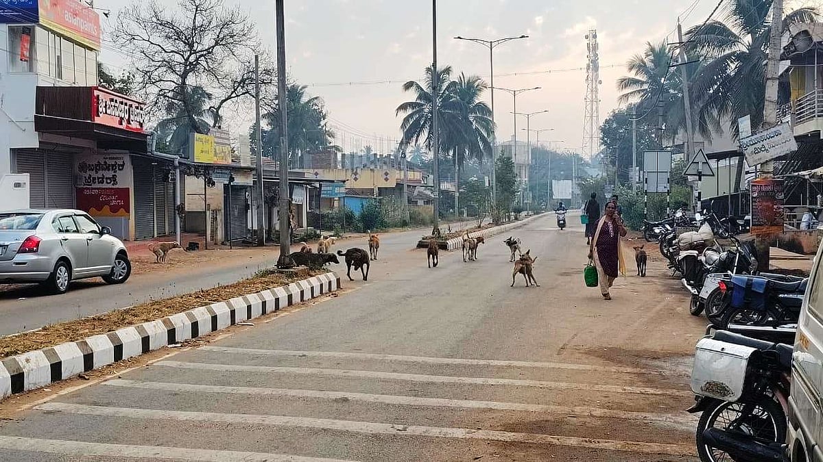 ರಟ್ಟೀಹಳ್ಳಿ: ನಾಯಿ ಹಾವಳಿ ತಡೆಗೆ ಕ್ರಮ ಎಂದು?