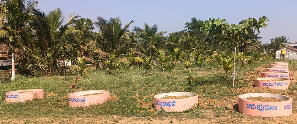 ಹೊಸದಾಗಿ ಬೆಳೆಸಿರುವ ಅಡಿಕೆ ಗಿಡಗಳು ಹಾಗೂ ಸೋಪ್ಪು ಬೆಳೆಯುವ ಬಾನಿಗಳು.