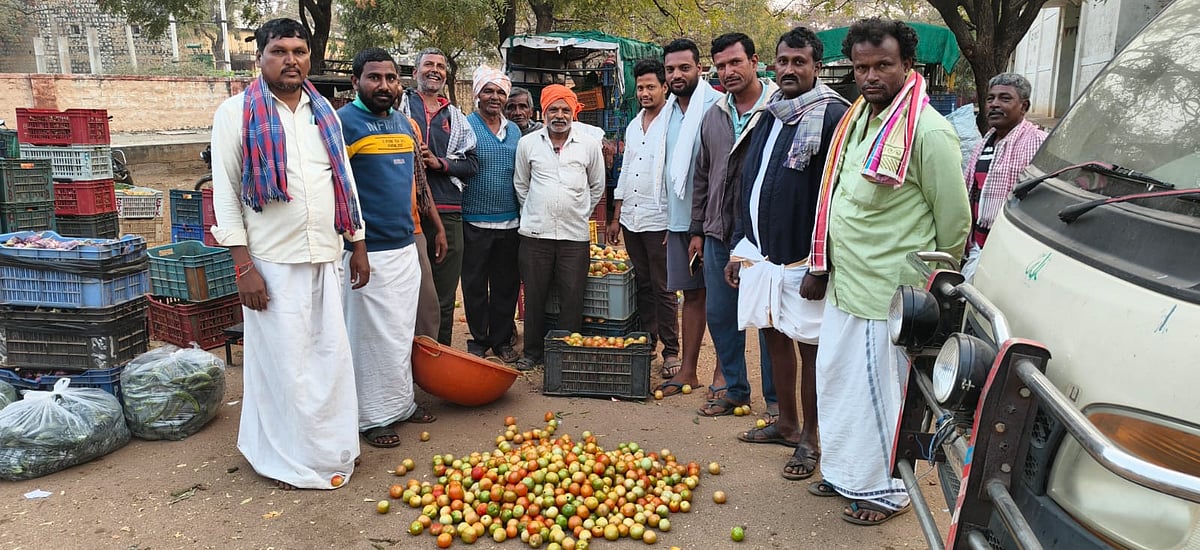 ಕೊಪ್ಪಳ: ಟೊಮೆಟೊ ದರ ಕುಸಿತ ರೈತ ಕಂಗಾಲು