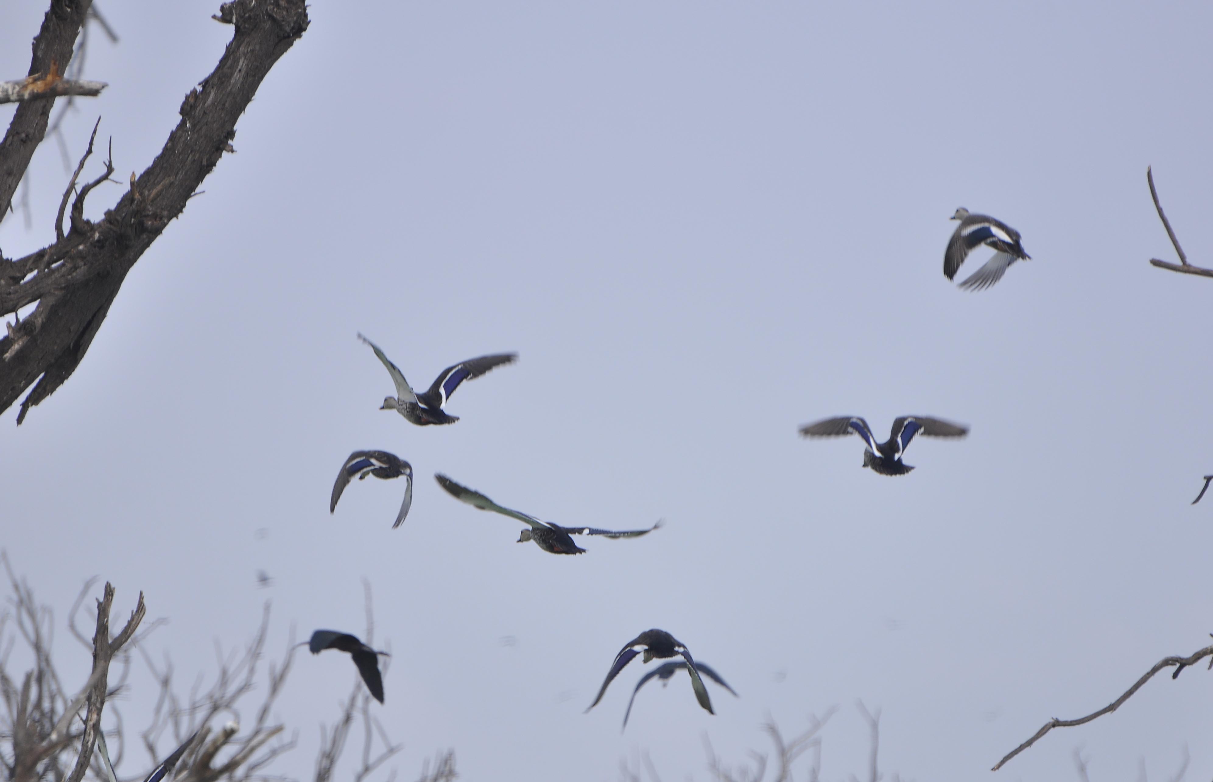 ಚಿತ್ರ:  ಸಿ.ಶಿವಾನಂದ