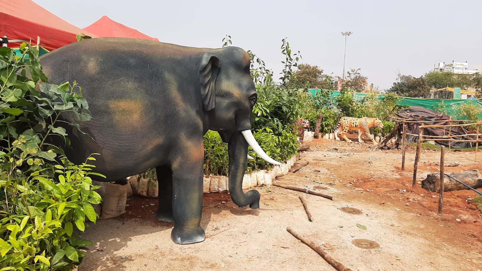 ರಾಯಚೂರಿನ ವಾಲ್ಕಟ್‌ ಮೈದಾನಕ್ಕೆ ಬಂದ ಕಾಡಾನೆ