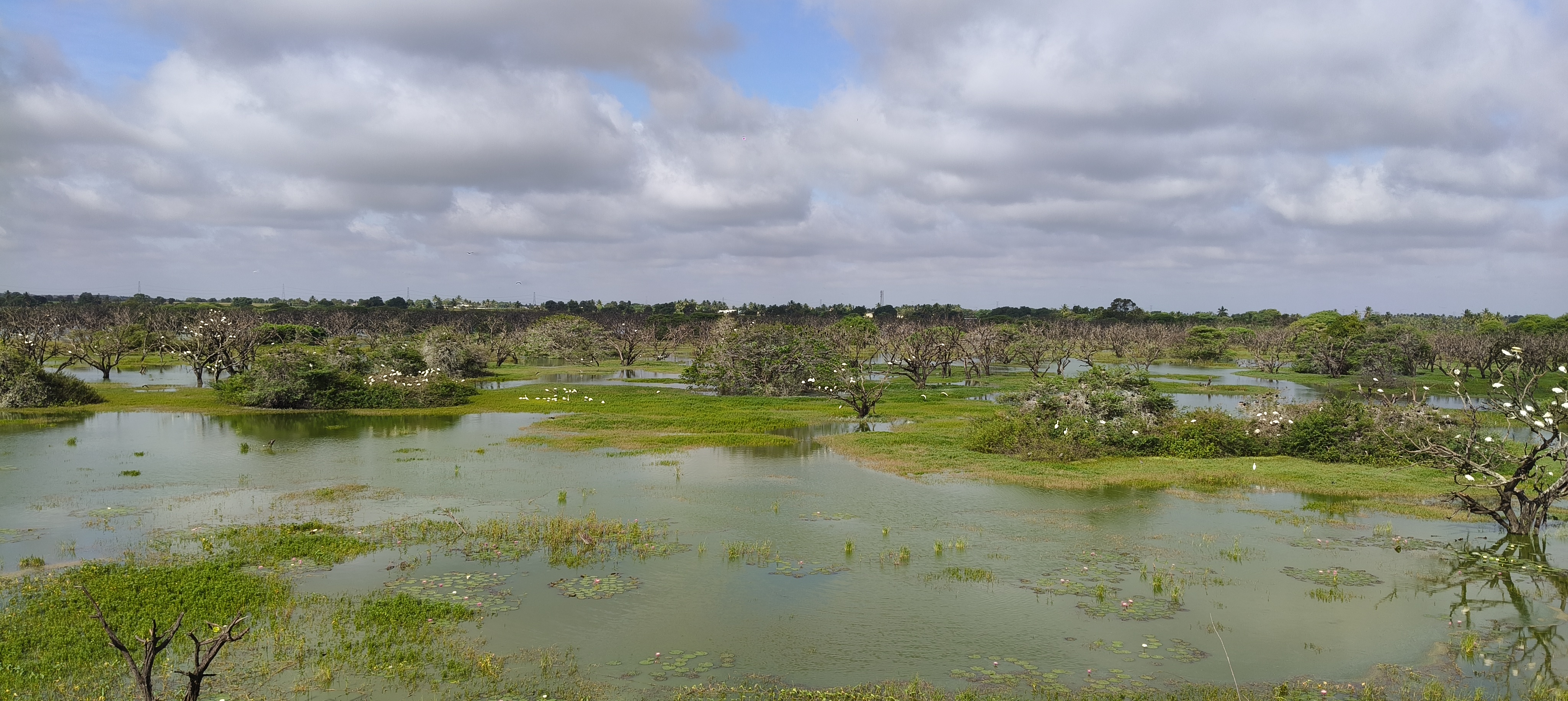 ಚಿತ್ರ:  ಸಿ.ಶಿವಾನಂದ